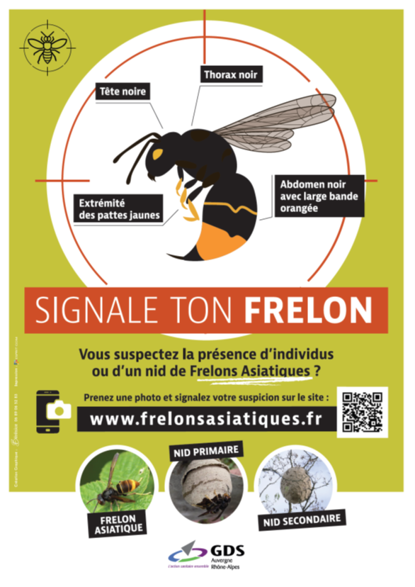 frelon20241