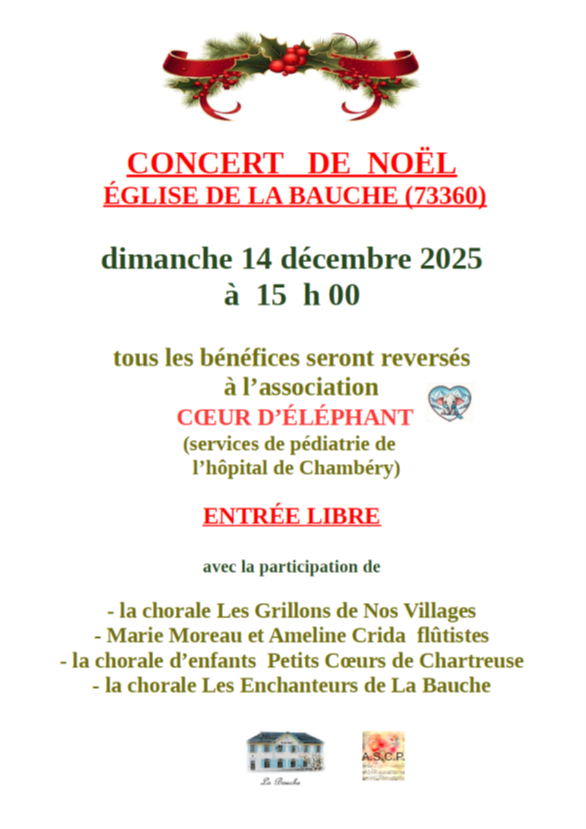 SPECTACLE NOEL 2025